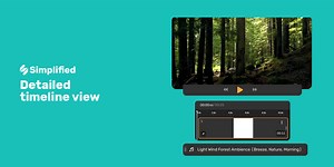 Video Detailed Timeline View for Precision Editing