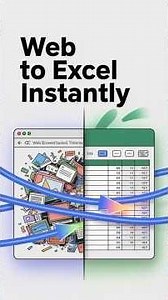 Web To Excel Instantly #excel #excel formula #excel shortcuts #tally tutorial #excelfromweb