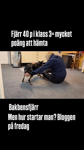 2.2K views · 202 reactions | No limit obedience on Reels | Facebook