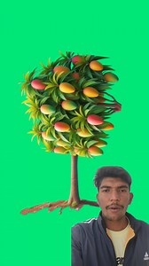 Tree 🌲🌳 photo Stop 🛑 challenge video #fbreelsfypシ゚viralシ #trees #treehouse #treelife #treeservice #fbreelsfypシ゚ #fbreelsvideo #trendingreelsvideo #trendingreel #challenge #puzzle #reels #viralreelschallenge #viralchallenge Lalita Goswami | circle challenge