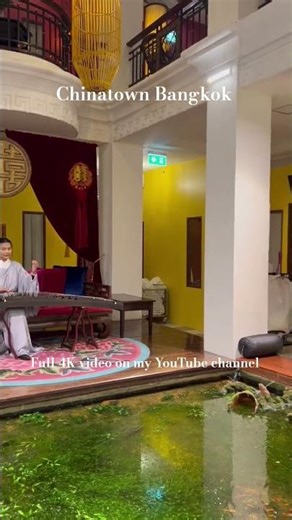 The Beauty of Guzheng: A 4K Performance Experience