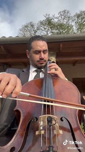 Photograph Ed Sheeran Cello Solo Performance