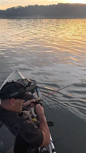 3rd cod in 15 minutes #murraycod #kayakfishing #fishing
