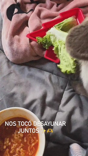 #conejito #rabbit #bebe #ella