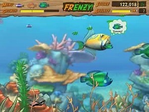 Feeding Frenzy 1
