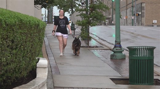 MPD focusing on action plan to keep festival-goers safe at RiverBeat Music Festival