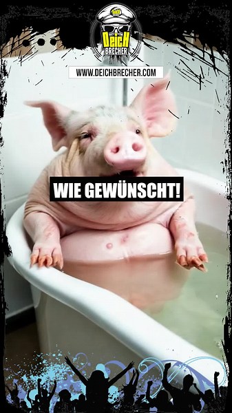Volle Version von 'Es blubbert in der Wanne' ab 13:00 Uhr