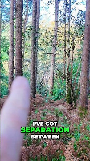 Master Your Shot Photography Composition Tips Explained