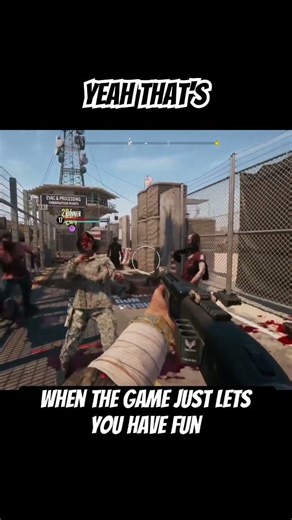 That Feeling When the Zombie-killing Flow Hits in DI2