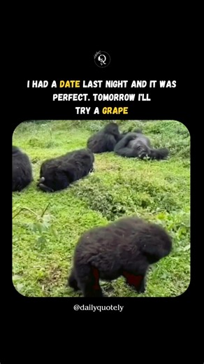 I had a date last night 😔 #funny #quotes #shorts