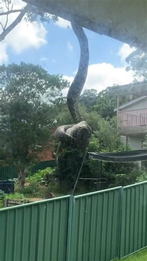 533K views · 1.2K reactions | Nature is incredible  | Furry Tails | Facebook