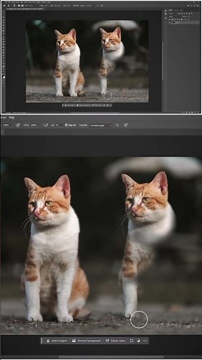 How To Clone a image in Photoshop