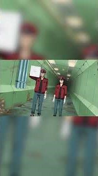 Cells At Work Code Black Explained By Cells At Work Code Black