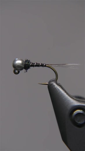 Tying a thread frenchie. Kept this one simple and boring with the colors. Definitely try some other color variations. Hook- TMC413j Bead- slotted tungsten Tail- whiting CDL Body- thread Rib- small UTC wire Thorax- peacock black ice dub . . #flytying #flytyingjunkie #flytyingaddict #flytyingnation #flytyingbench
