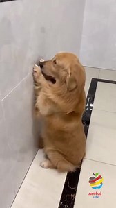 Hello pipol ! 😎😎 | Pretty things