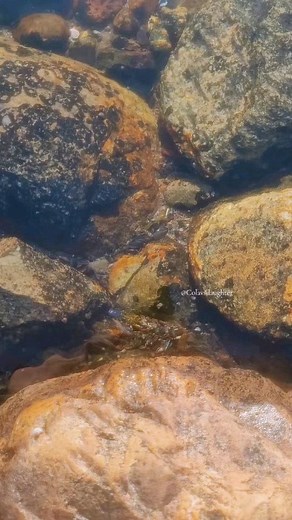 49K views · 47K reactions | In case you missed this ♥️ #healing #Trending #SelfLoveJourney #EmpoweringWomen #Mindfulness #WomenEmpowerment #PositiveVibes #Wellness #SelfCare #Motivation #quote #quoteoftheday #InnerPeace | C.Olavsdaughter | Facebook