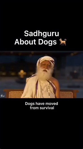 Sadhguru Archives on Instagram: "Sadhguru About Dogs 🐕 ♥️"