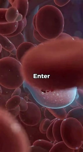 How a Virus Takes Over Your Body in Seconds 🦠😱 #Virus#HumanBody#MedAnimation#ScienceShorts#Biology