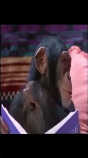 MMPR season 3 episode 28 end credits #powerrangers