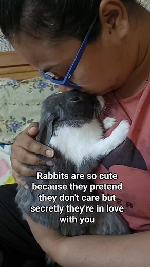 So very true 😂 | Flemish Giant Rabbit