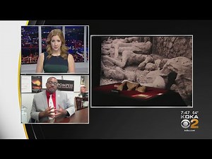 New Exhibit Opens This Weekend At Carnegie Science Center