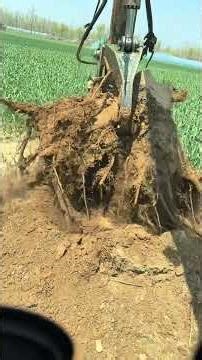 Dangerous Stump Removal With Excavator 🌳⚠️ | Heavy Machine | Ep 47