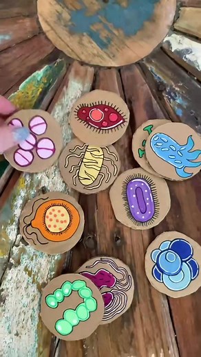 DIY Microscope for Kids: Fun Science Project with Cardboard