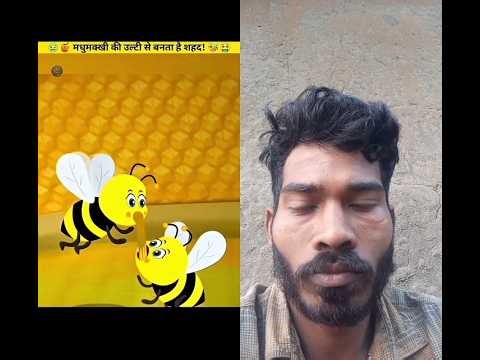 🐝🤮🍯The Shocking Truth 🤢💩 About Honey! #shorts​ #facts​ #honey​ #honeybee​ #sweet​