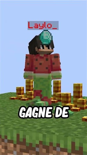 The top Minecraft challenge of the moment!