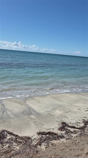 jennyponce@🇵🇷 (@jennyponce473)’s videos with Calma (Remix) - Pedro Capo X Farruko