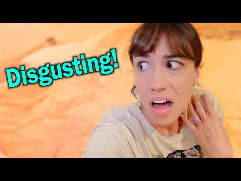 New Pet Snake & My Garden Infestation