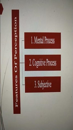 Features Of Perception #youtubeshorts #shortsvideo #viral