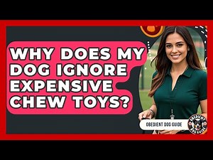 Why Does My Dog Ignore Expensive Chew Toys? - Obedient Dog Guide