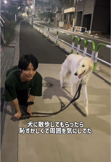 ボルゾイと飼い主の散歩日記