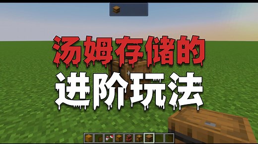 我的世界模组介绍 汤姆的简易存储Tom's Simple Storage Mod