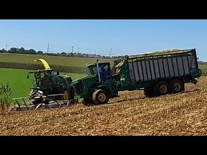 Corn silage harvest 2025