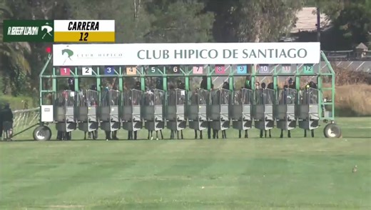 Para mí hoy Bichota no pierde, la última carrera fue cargado al partir, quedando último casi todo el recorrido, y el los 300 metros finales era el que más corría, llegando 6ta a 4 cuerpos. Hoy con la conducción del Mágico Luis Adrian Torres y subiendo de 1100 a 1200 metros, para mí no puede perder. Que Opinan?