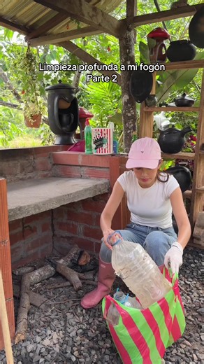 Limpieza Profunda a Mi Fogón: Parte 2
