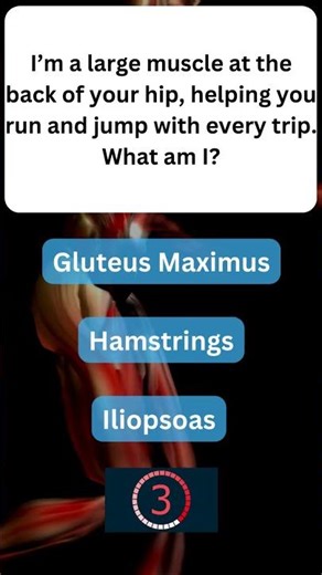 Fun Fact About Your Muscles You Won’t Believe! 💪 #MuscularSystem 48