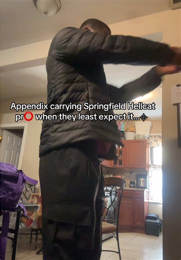 Concealed Carry Insights: Springfield Hellcat Review