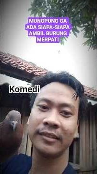Ambil Burung Merpati ah #shorts #komedi