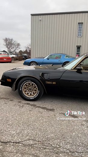 1977 Firebird Formula Trans Am Special Edition