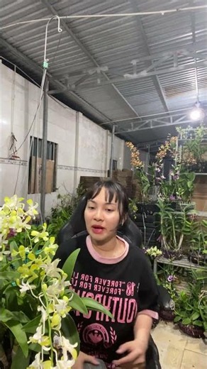 Flower Reference Hotline: 090.317.7978 ☎️☎️