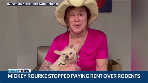 TMZ: Mickey Rourke says he withheld rent over rodent-infested apartment, unresolved repairs