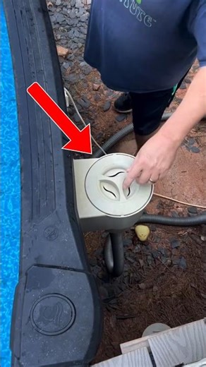 Surprise Visitor 😅