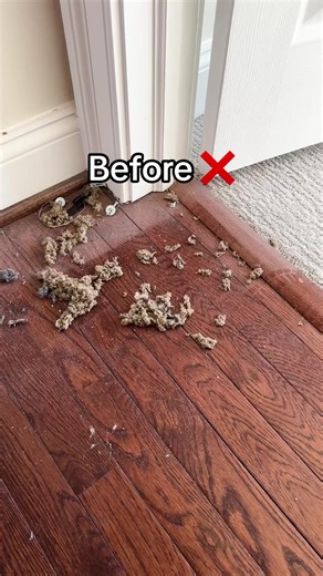 From dusty to spotless! 🏡✨ Watch as we transform this home with a deep clean—floors, baseboards, carpets, windows, fireplace, and more! No more dust, just freshness. Let Dora’s Home Cleaning take care of your home! 🧼 #DeepCleaning #DustFreeHome #DorasHomeCleaning #cleaningtips #richmondva