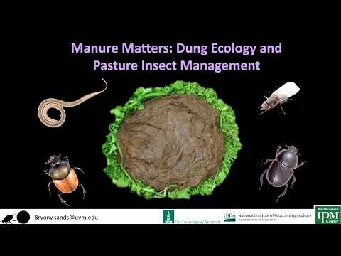 Manure Matters: Dung Ecology and Pasture Insect Management