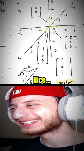 Linear algebra☠️#maths