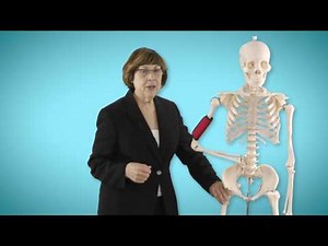 Ventrogluteal and Other Injection Sites